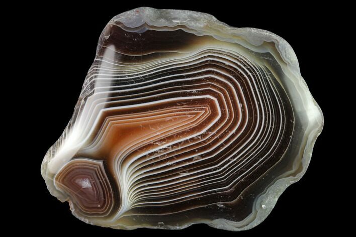 Polished Botswana Agate Nodule - Botswana #146381